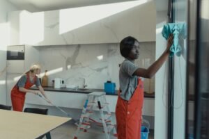 domestic cleaners east kilbride — Domestic Cleaners East Kilbride - Your Guide