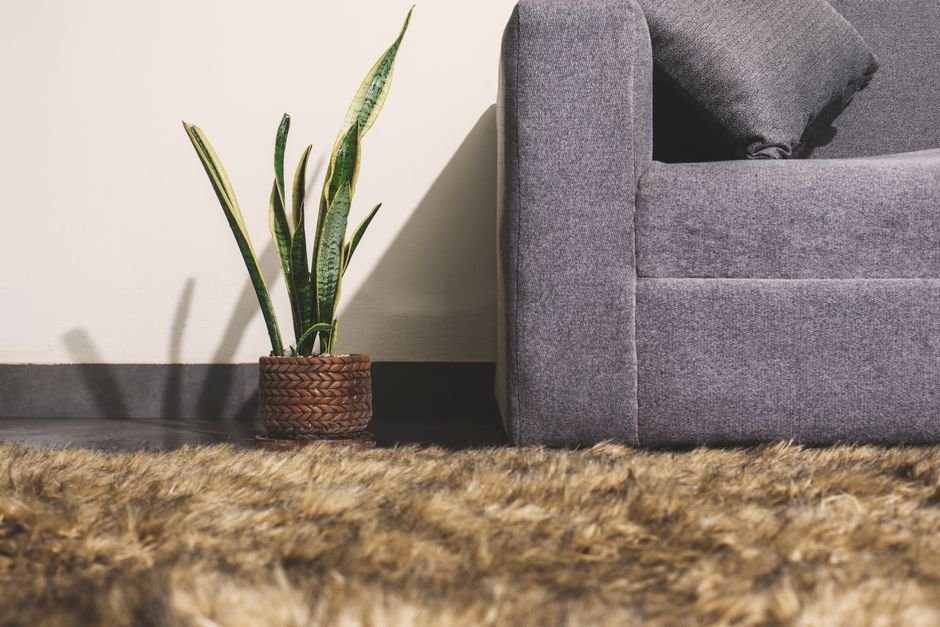 carpet cleaning glasgow — Carpet Cleaning Glasgow: A How-To Guide for Fresh Floors